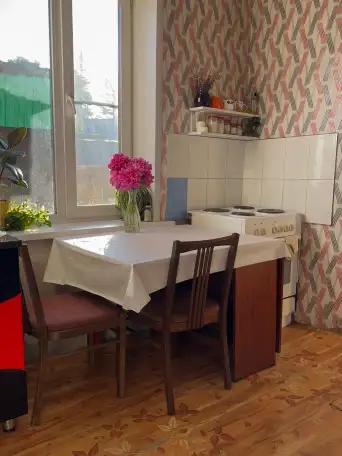 Продам уютный двор в черте города, Ул. Бажова д.163А, фотография 3