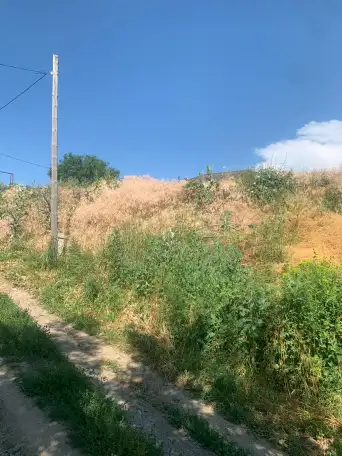 Продам участок 6 соток, село Бесагаш, ПК «Тау-Думан», фотография 3