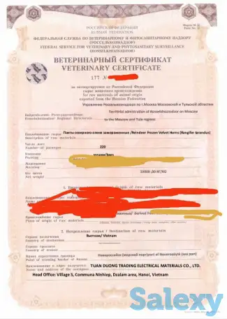 Продам панты (рога ) северных оленей, фотография 1