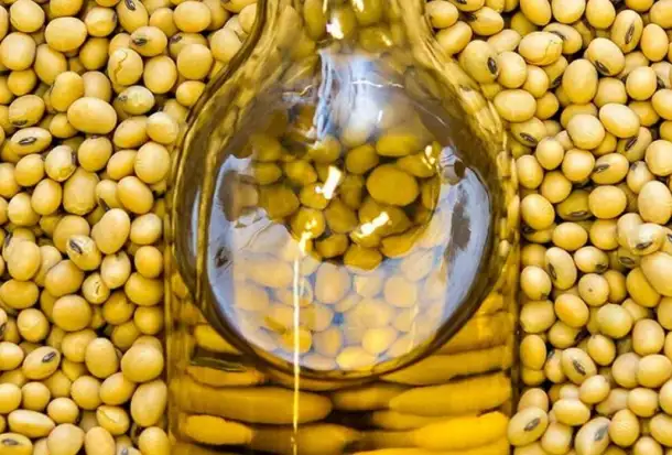 Продажа масла соевого оптом от производителя, фотография 4