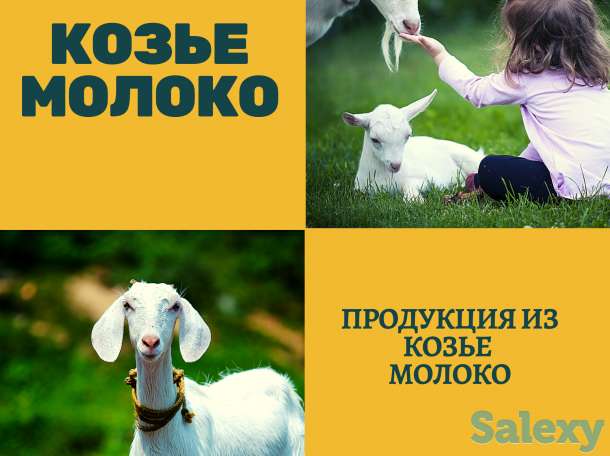 Козье молоко козье продукция Алматы Goats milk, фотография 1