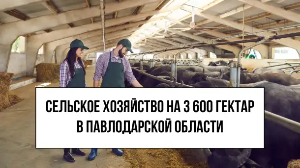 Сельское хозяйство на 3600 гектар земли в Павлодарской Области, фотография 1