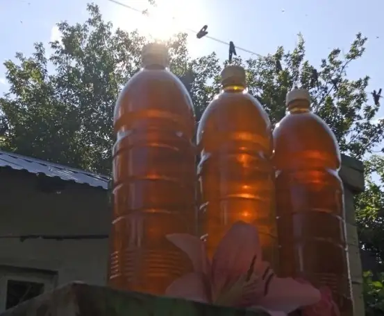 Мед пчелиный, натуральный, 2025 года., фотография 3