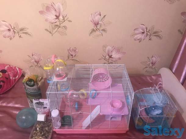 Продам клетка для хомяков 2 -этажный +подарок, фотография 6