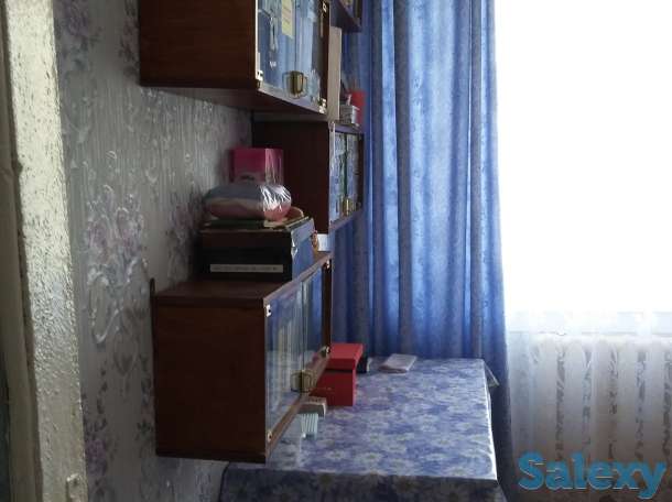 Продам 3-х комн улучшенную малогабаритную угловую квартиру, фотография 5