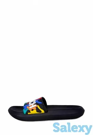 Сланцы t.taccardi, фотография 1