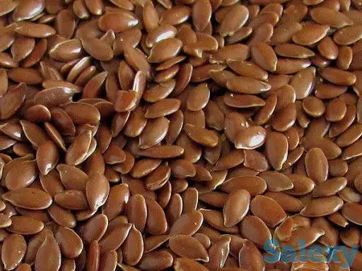 Семена льна, фотография 1