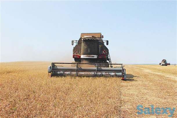 Продам зерно 3,4,5 класс, фотография 1