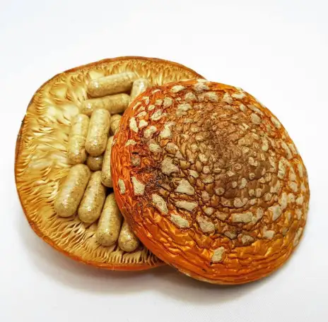 Fungopoles, фотография 3