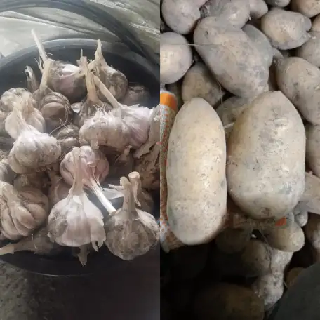Продам домашний картофель и чеснок, фотография 1