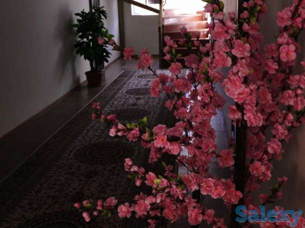 Гостевой дом «Арбат» г. Чолпон-Ата!, фотография 4