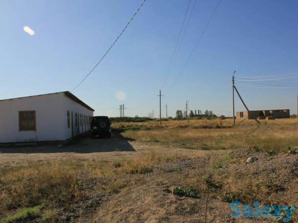 Продам кирпичный завод, щеб завод, теплицы, откормочная база.., фотография 5