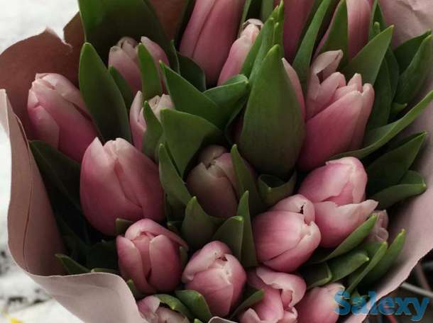 Голландские тюльпаны 10 лучших сортов,оптом и в розницу !, фотография 6