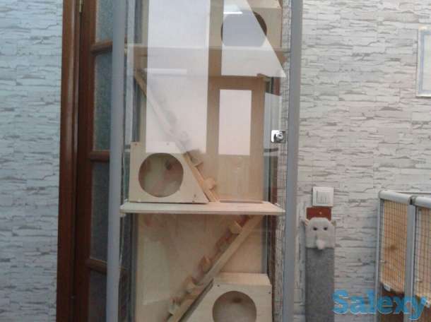 Клетки для шиншилл , белок , хорьков и прочих грызунов, фотография 4