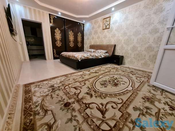 Сдаем посуточно и почасовой апартаменты, Брусиловского, 167, фотография 1