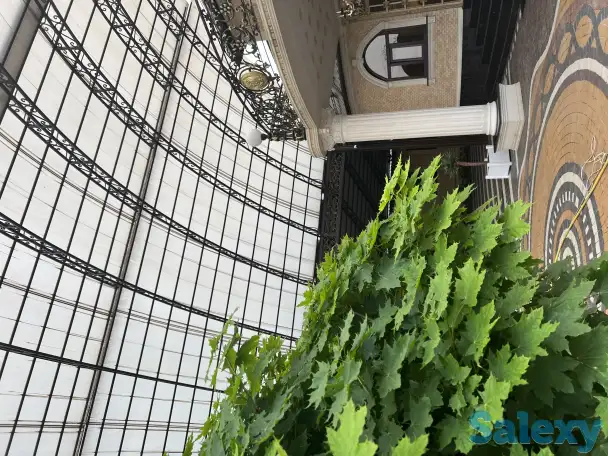 Продаю шикарный дом, фотография 11