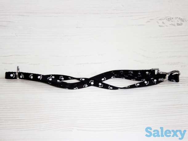 Поводок, фотография 5