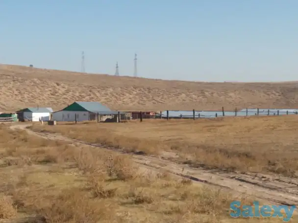 Участок 350 га в Кунаева, фотография 2