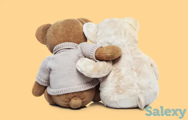 Медиация и досудебное урегулирование споров, примиритель, фотография 2