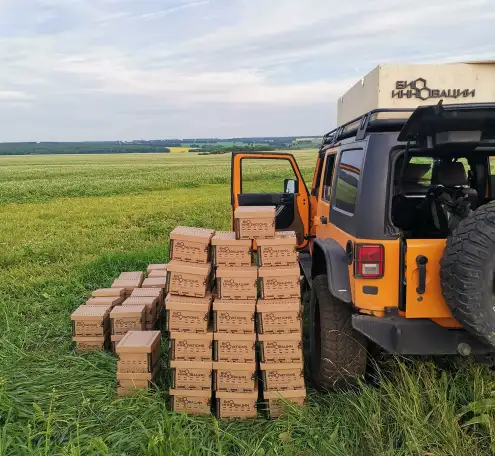 Шмелиная семья БиоИнновации Стандарт. Для опыления растений., фотография 9