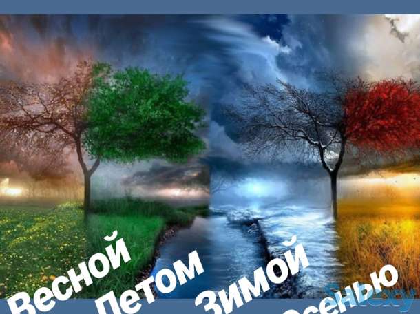 Настало время вылечиться, фотография 3