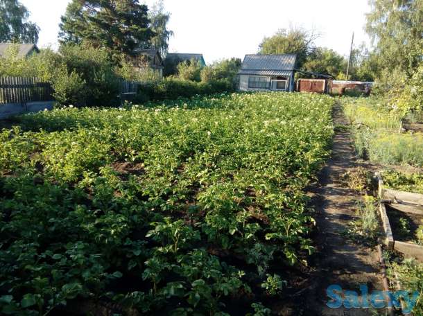 Продам дачу!, фотография 4