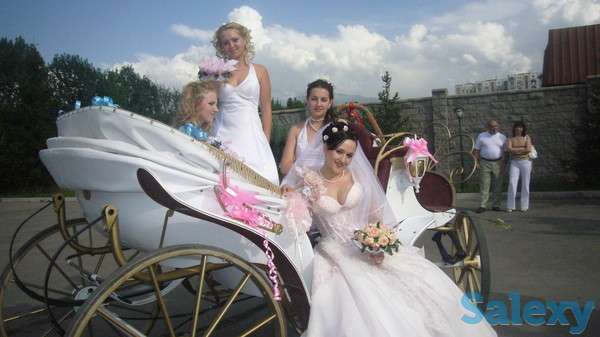 фаэтон, карета, фотография 2