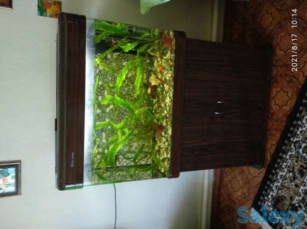 Продам, фотография 1