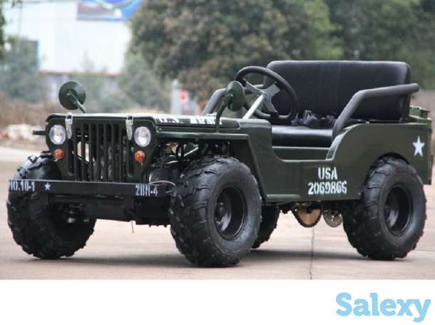 Для детей и взрослых мини джип., фотография 3