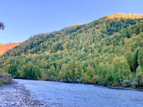 Участки в Катон-Карагае, фотография 7