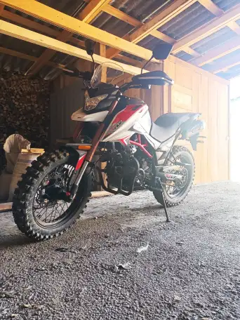 Мотоцикл Теккен 250, фотография 1