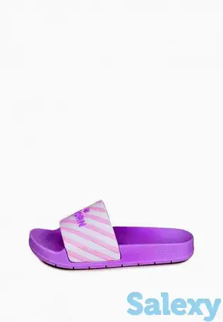 Сланцы t.taccardi, фотография 2