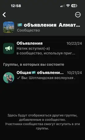 В группе WhatsApp есть сообщество      Объявления Алматы   Общая, фотография 1