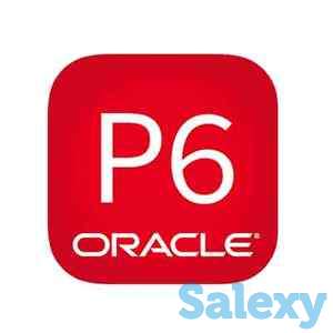 Услуги Планера внештатника Primavera P6, фотография 1