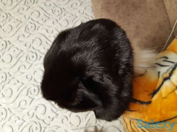 Головные уборы, фотография 1