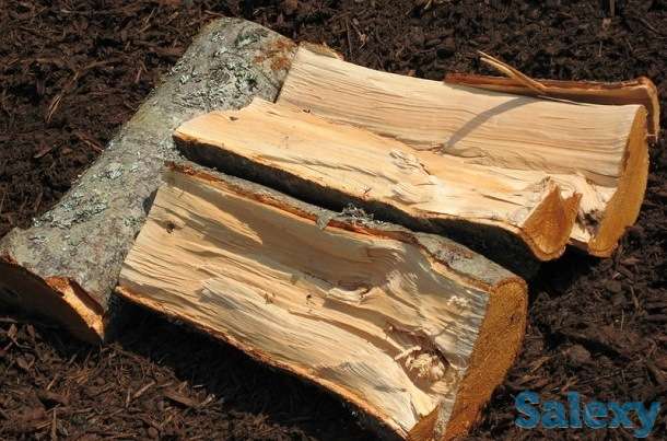 Дрова карагач продам срочно колотые/чурки, фотография 1