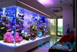 Аквариумы на заказ, фотография 2