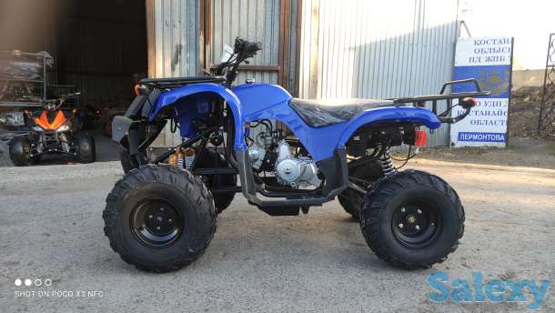 Квадроциклы 50,110,125,250сс, фотография 14