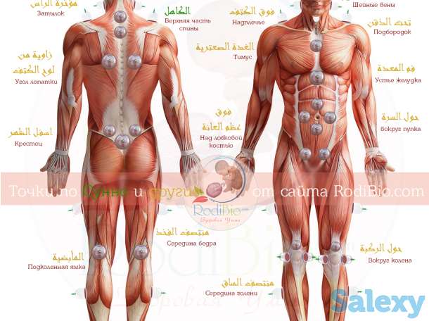 хиджама в астане, фотография 1