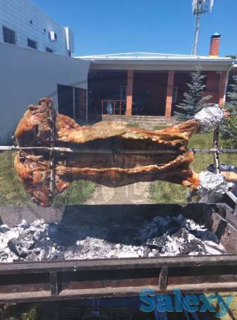 Производство и продажа электро-вертелов, фотография 4