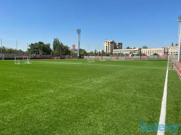 Аренда футбольного поля, фотография 1