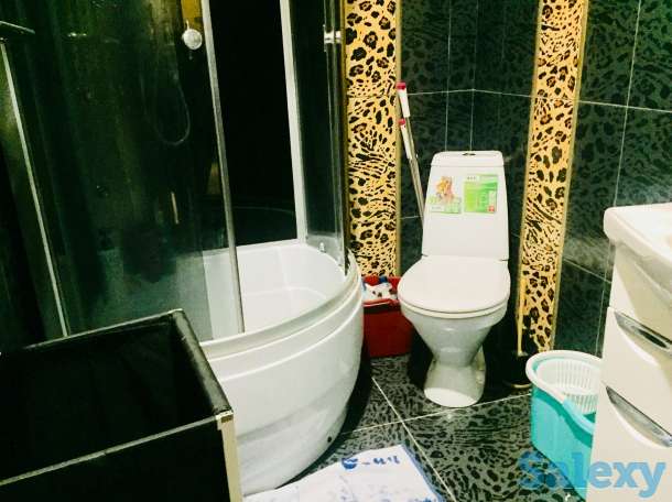 Квартира 2 комнатная  в центральном районе с мебелью, фотография 5