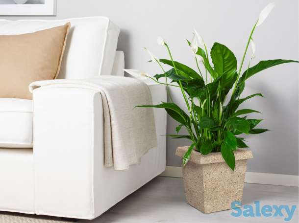 Вазоны (вазы уличные для цветов), фотография 3