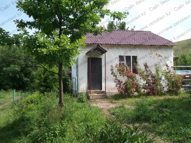 Детский оздоровительный лагерь ЭДЕЛЬВЕЙС  Текели, фотография 2