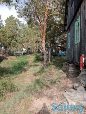 продам путевки, фотография 2