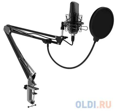 Ritmix rdm-169 black {увствительность: - 42 ± 2 дб?,  ?1000, фотография 1