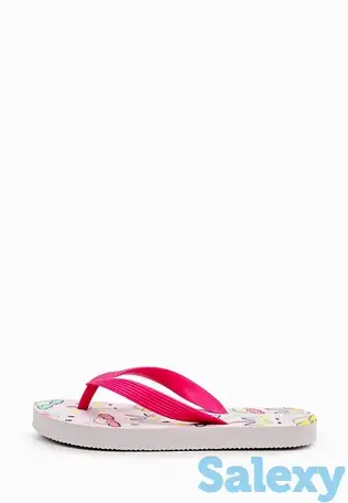 Сланцы t.taccardi, фотография 1