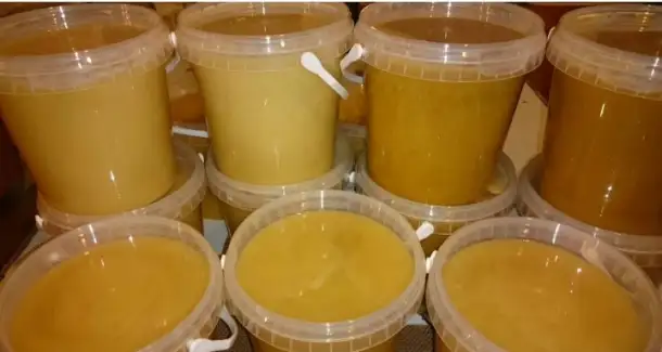 Своя пасека, фотография 1