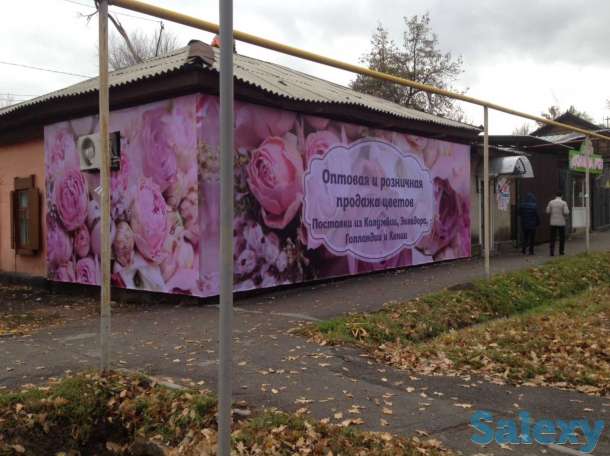 Все виды наружной и внутренней рекламы, фотография 3