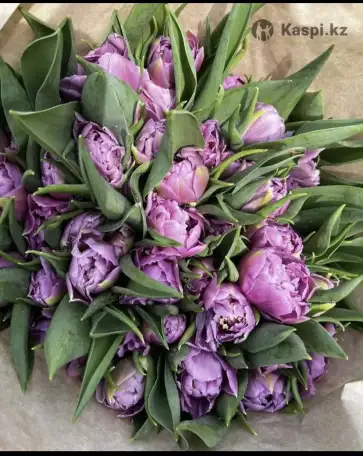 Тюльпаны премиум класса оптом к 8 марта, фотография 4